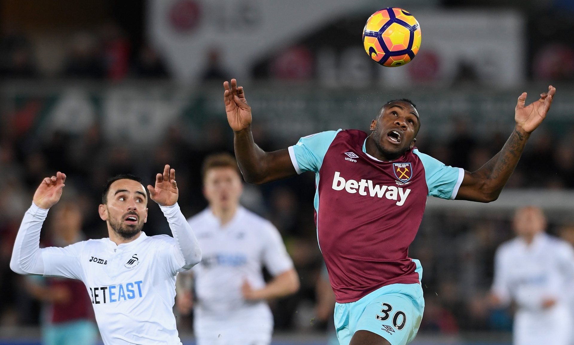 他有望在未 他有望在未