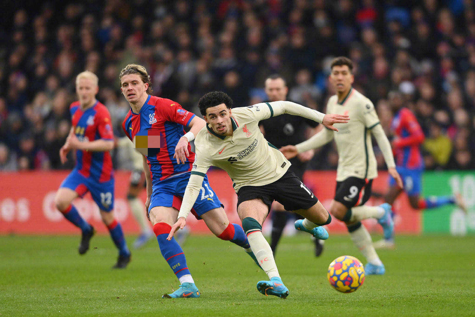 的不稳定 的不稳定